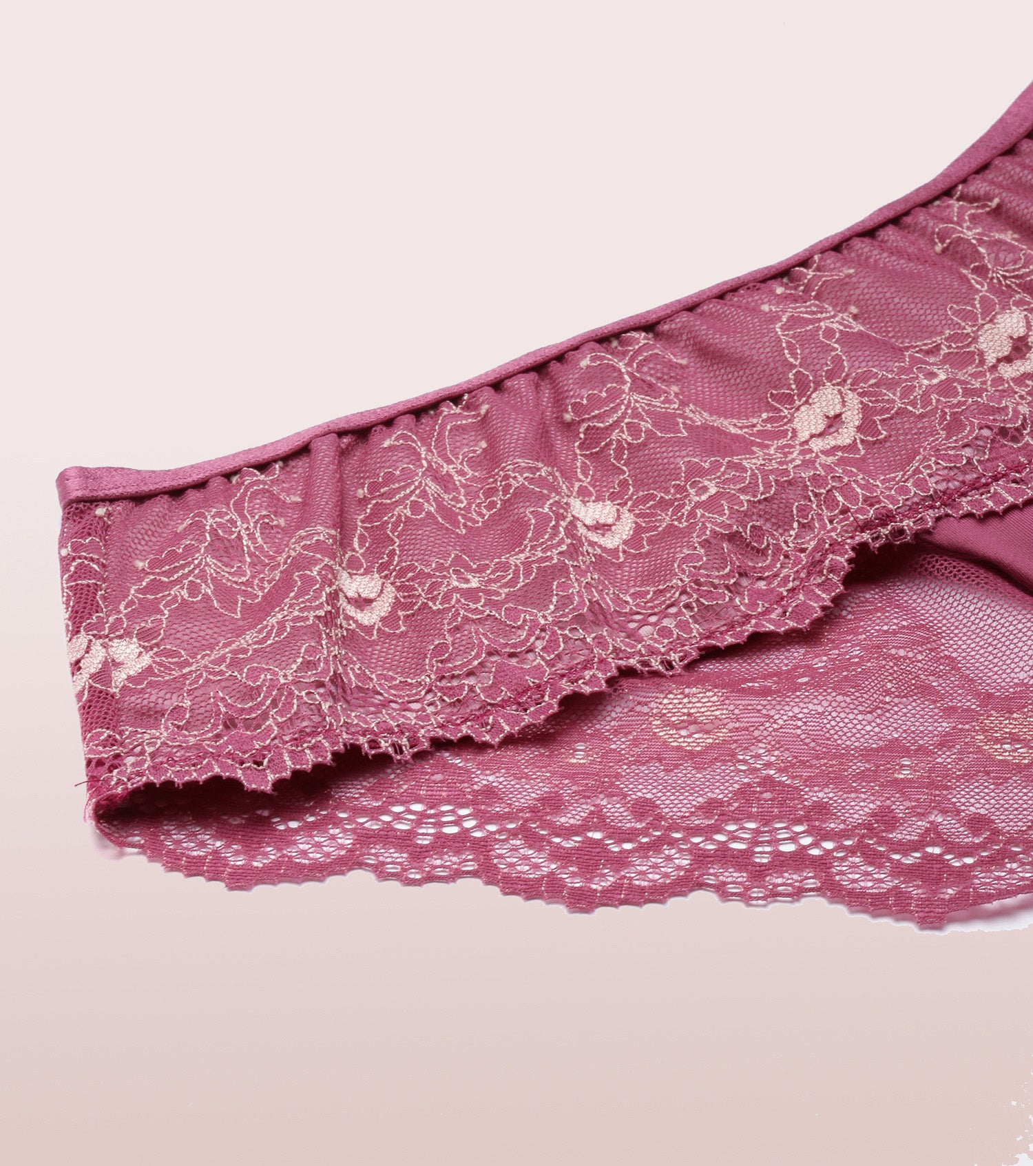 Buy Enamor P116 Lace Women Hipster Pink Panty Online at Best